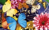 Бабочки и цветы обои альбом (1) #20