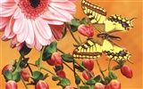 Schmetterlinge und Blumen Wallpaper Album (2) #11