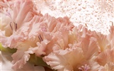 Large Flower Feature Wallpaper (4) #17
