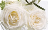 Wedding Flowers Bilder (1) #16