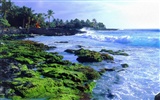Красивые пейзажи Гавайи обои #7
