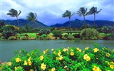 Beau paysage de Hawaii Fond d'écran #33901