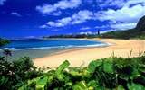 Красивые пейзажи Гавайи обои #11