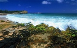 Красивые пейзажи Гавайи обои #15
