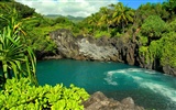바탕 화면 하와이의 아름다운 풍경 #16