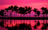 Beautiful scenery of Hawaii Wallpaper #20