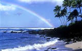 Beau paysage de Hawaii Fond d'écran #25