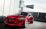 Special edition of concept cars wallpaper (5) #8