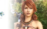 Final Fantasy 13 HD обои (2) #10