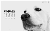 Febrero 2010 Calendario Wallpaper creativa #14