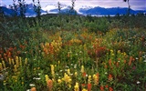 Fond d'écran paysage de l'Alaska (1) #16
