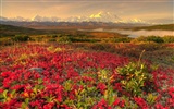 Alaska Landschaft Wallpaper (2) #6