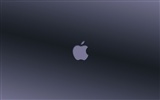 tema de fondo de pantalla de Apple álbum (5) #17
