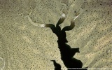 Yann Arthus-Bertrand Luftaufnahmen Wunder Wallpaper #16