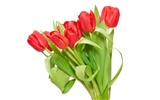 fondos de escritorio de gran tulipán (3) #6