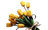 fondos de escritorio de gran tulipán (3) #10