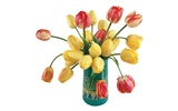 Velký tulipán tapetu (3) #16