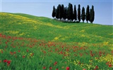 Итальянский пейзаж обои (1) #19