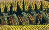 Fond d'écran paysage italien (2) #17
