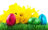 Easter Egg fond d'écran (3) #3