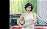2010-4-24 Pekingu Mezinárodní Auto Show (Linquan Qing Yun práce) #6