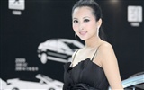 2010-4-24 Pekingu Mezinárodní Auto Show (Linquan Qing Yun práce) #7