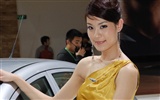 2010北京国际车展 美女车模 (螺纹钢作品)