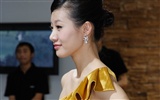 2010 v Pekingu Mezinárodním autosalonu krása (prutu práce) #13