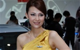 2010 v Pekingu Mezinárodním autosalonu krása (prutu práce) #14