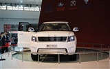 2010 Salón Internacional del Automóvil de Beijing Heung Che (obras barras de refuerzo) #12