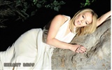 Hilary Duff hermoso fondo de pantalla #11
