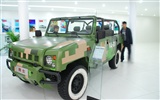 2010 v Pekingu mezinárodní automobilové výstavy (1) (z321x123 práce) #11