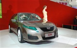 2010 v Pekingu mezinárodní automobilové výstavy (1) (z321x123 práce) #14