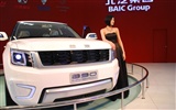 2010 v Pekingu mezinárodní automobilové výstavy (1) (z321x123 práce) #16