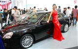 2010 v Pekingu mezinárodní automobilové výstavy (1) (z321x123 práce) #17