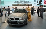2010 v Pekingu mezinárodní automobilové výstavy (1) (z321x123 práce) #18