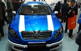 2010 v Pekingu mezinárodní automobilové výstavy (1) (z321x123 práce) #20