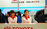 2010 v Pekingu mezinárodní automobilové výstavy (3) (z321x123 práce) #25