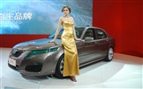 Beijing 2010 Salón Internacional del Automóvil (2) (z321x123 obras) #2