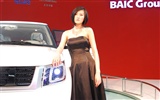 2010 Beijing International Auto Show (2) (z321x123 œuvres) #3