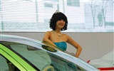 2010 Beijing International Auto Show (2) (z321x123 œuvres) #9