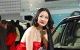 2010 Beijing International Auto Show (2) (z321x123 œuvres) #10