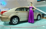 2010 Beijing International Auto Show (2) (z321x123 œuvres) #12