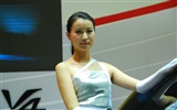2010北京国際自動車ショー (2) (z321x123作品) #23
