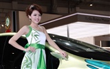 2010 Peking Mezinárodní Auto Show (bude kolo v odvětví cukru práce) #10