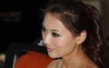 2010 Beijing Auto Show beauty (some general works) #7