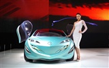 2010 Beijing International Auto Show (mcwang007 Werke) #12
