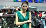 2010 Peking autosalonu krása (Kuei-východně od prvních prací) #6