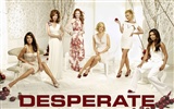 Desperate Housewives Tapete #28