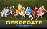 Desperate Housewives wallpaper #37